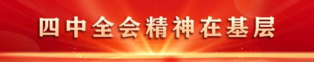 四中全會(huì)精神在基層